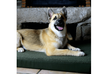 Coussin pour chien PREMIUM tissu bouclette vert M