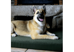 Coussin pour chien PREMIUM tissu bouclette vert M