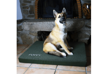 Coussin pour chien Memory tissu Microfibres