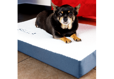 Coussin pour chien Premium tissu imperméable